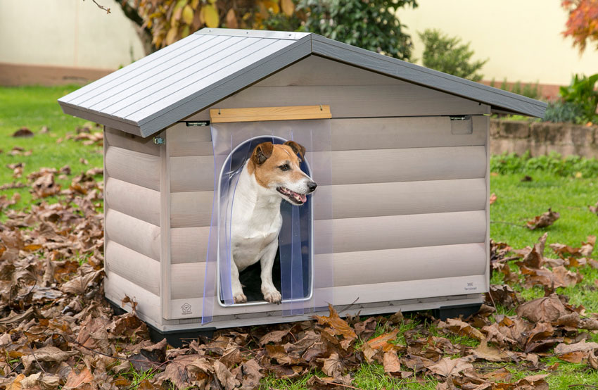 деревянная будка для собак