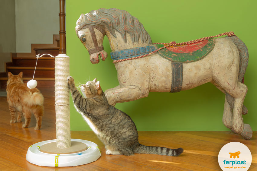 two cats playing with the scratching post Magic Tower by Ferplast