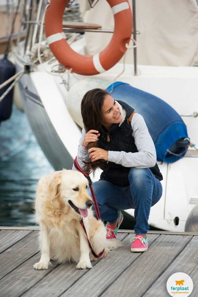 férias no navio com seu cão