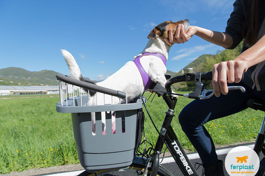 Переноска для мелких собак для крепления на велосипед