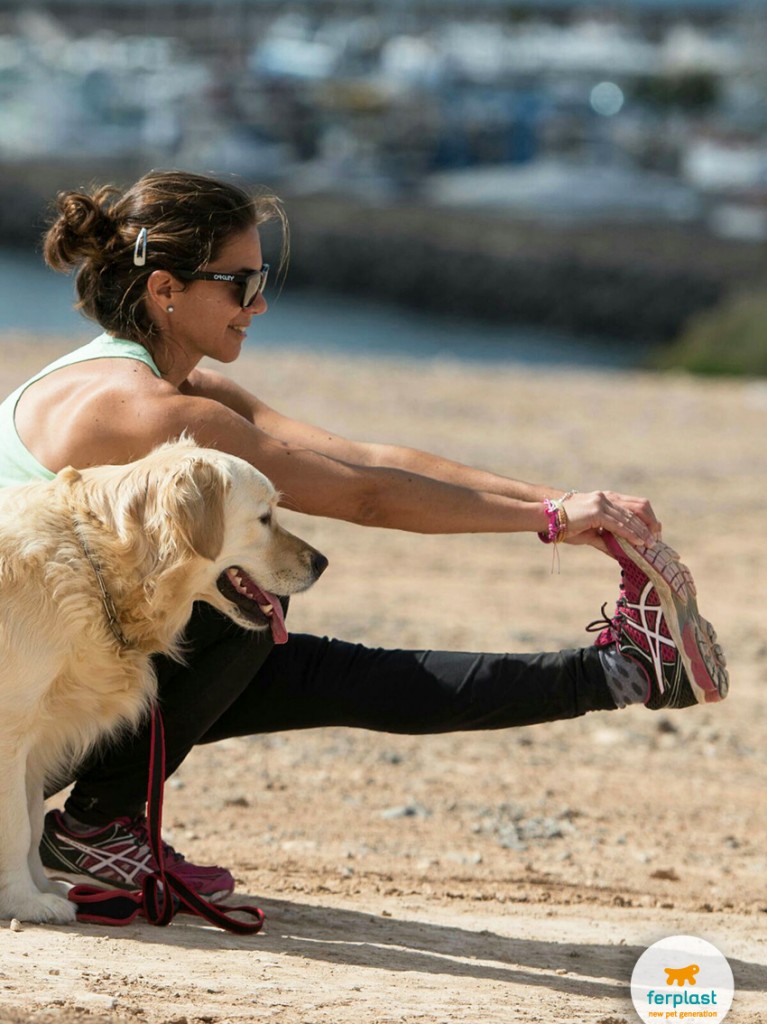 fazer fitness com o seu cão