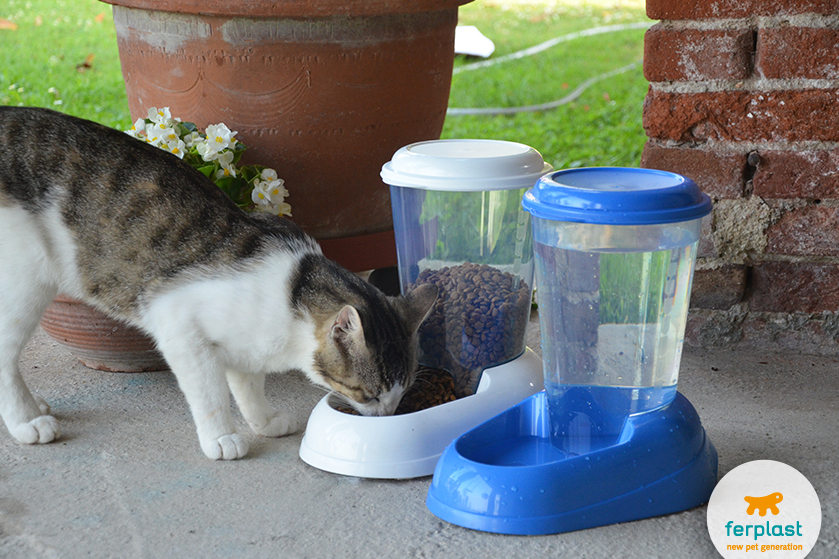 dispenser de comida e agua para gatos da ferplast
