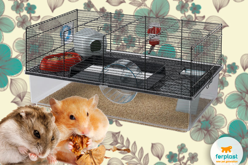 spacious cage for hamsters