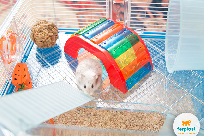 toys for hamsters tunnels and bridges