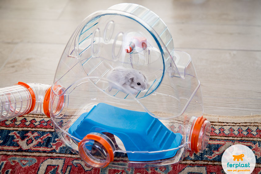 gym exercise habitat for hamsters by ferplast