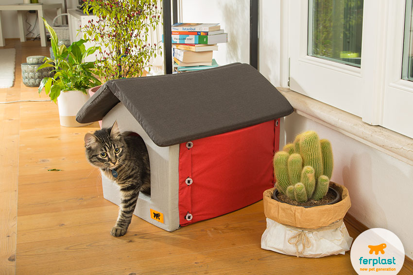 lovely cat home with the shape of a little house