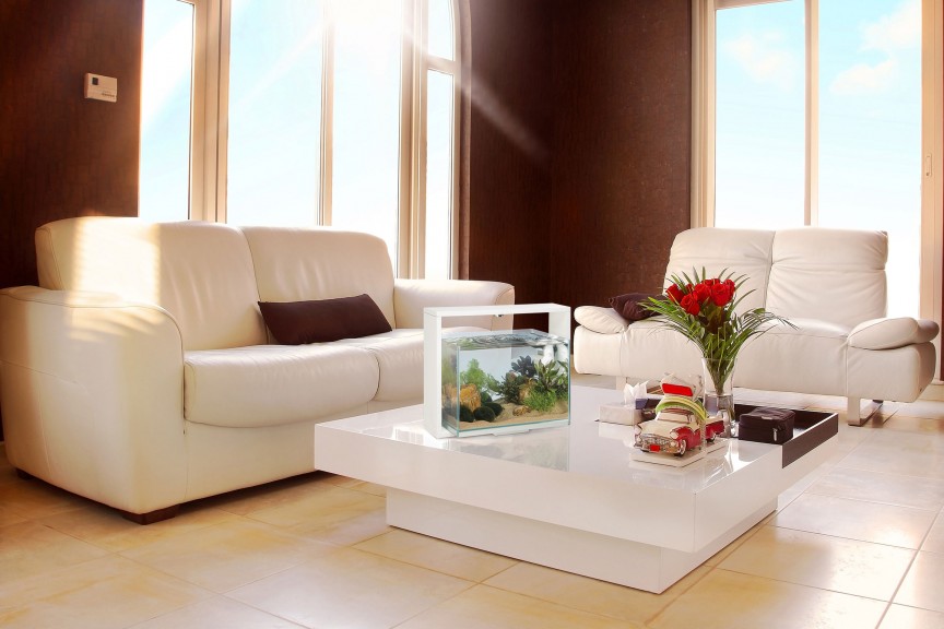 HOW TO FURNISH A HOUSE WITH A DESIGN FISH TANK LOVE FERPLAST   Acquario Samoa Ferplast Design  864x576 