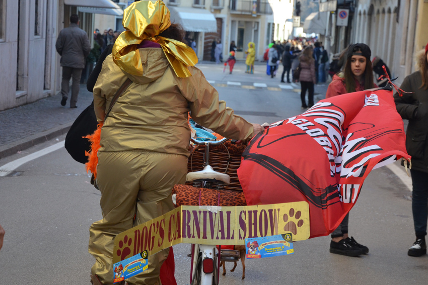 dogs-carnival-show-malo