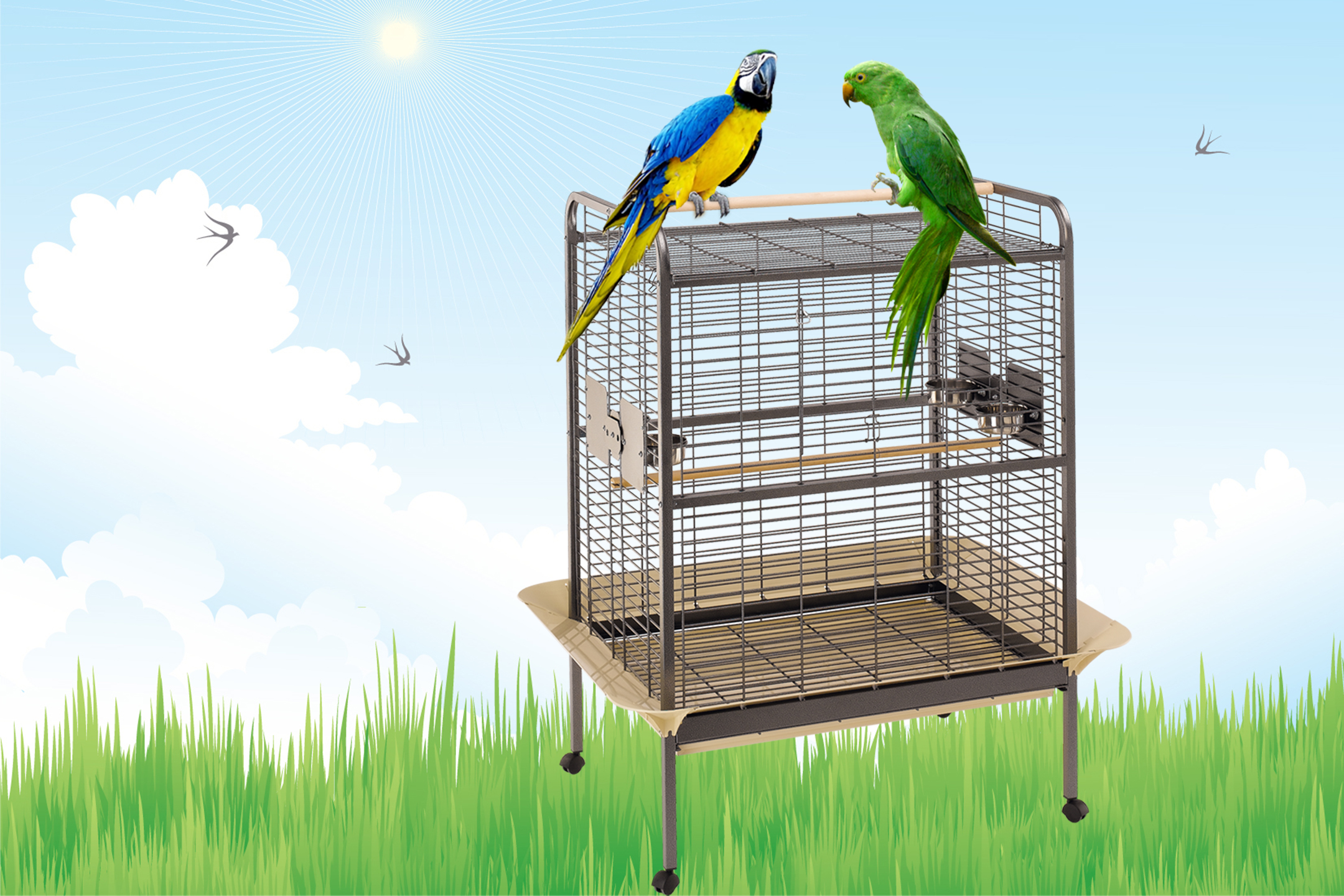 adottare-pappagallo-expert-gabbia-ferplast