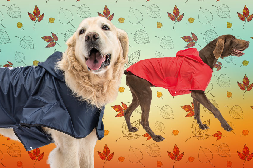 Ferplast Sailor waterproof and windproof coats for dogs