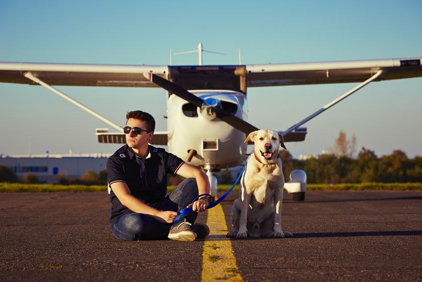 Viajar de avião com animais de estimação