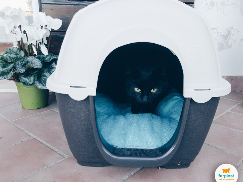 Proteggi il Gatto in giardino! Scopri le nostre Casette per Gatti - LOVE  FERPLAST