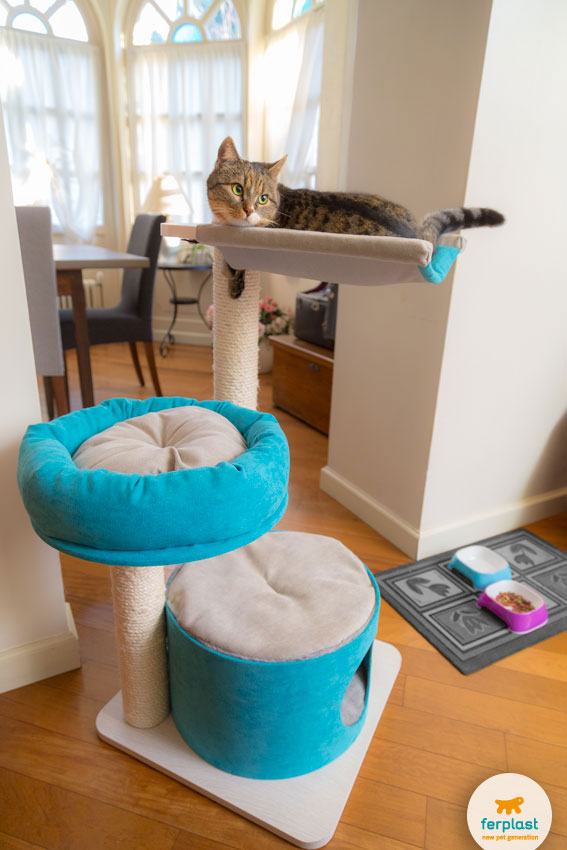 adorable cat lying on a hammock on the top of a cat tree with scratching post