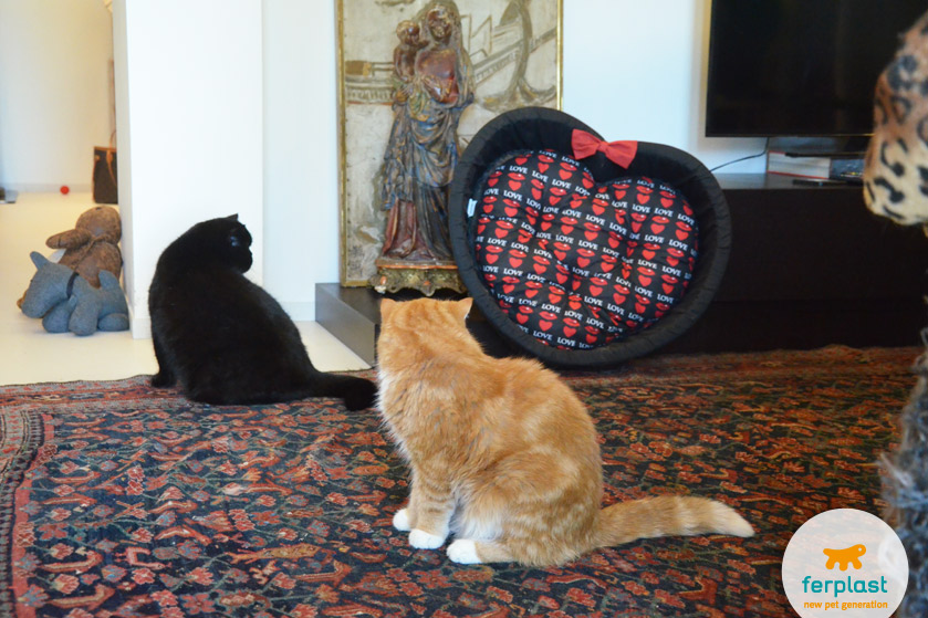 Ferplast heart-shaped cat bed 