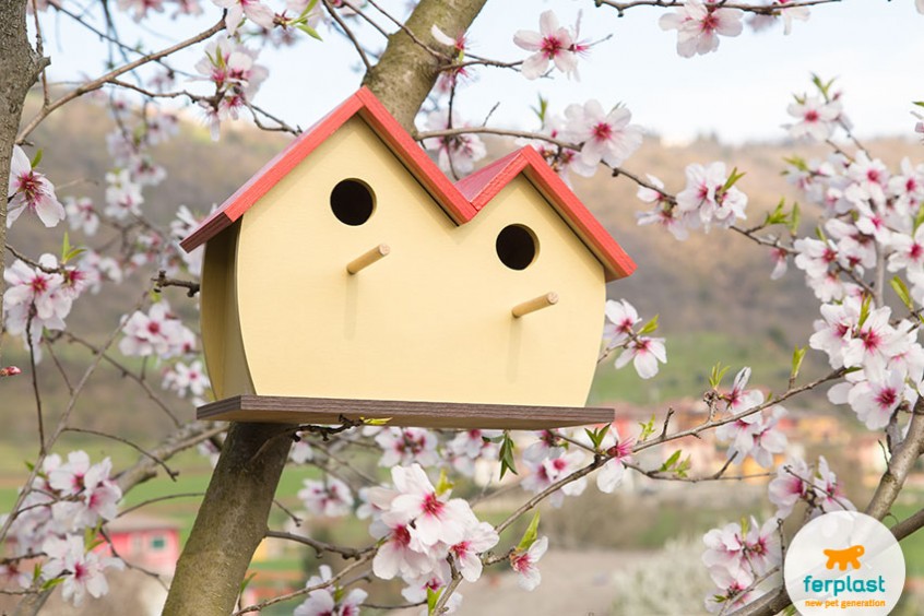 Scatole Per Uccelli Case Di Legno Di Legno Per Uccelli Per Giardino Nocciola Per Uccelli Cabina Per Uccelli Naturali Cabina Per Uccelli Per Esterno Balcone Dell'albero Da Giardino