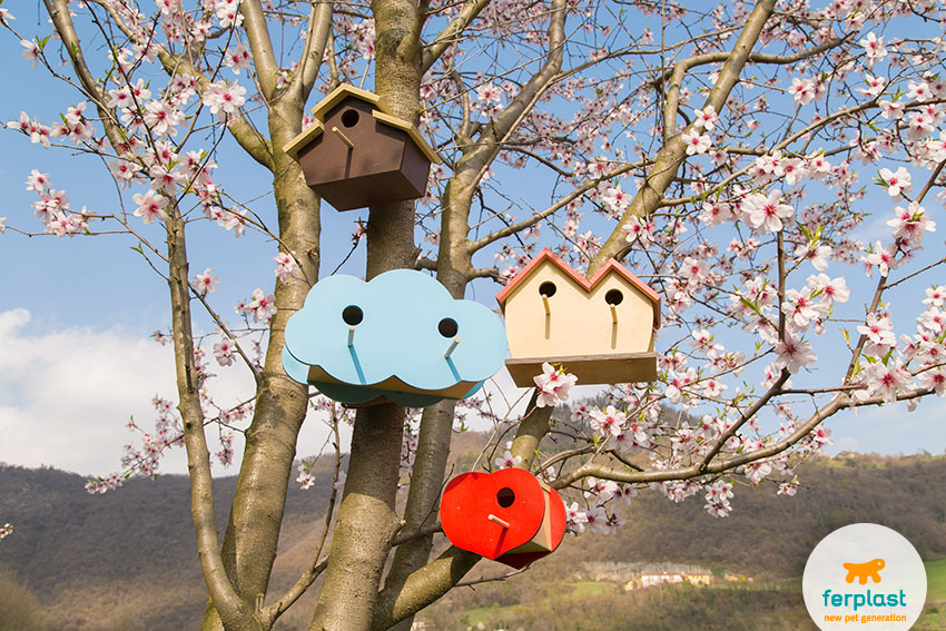 casas para pássaros da Ferplast feitas de madeira