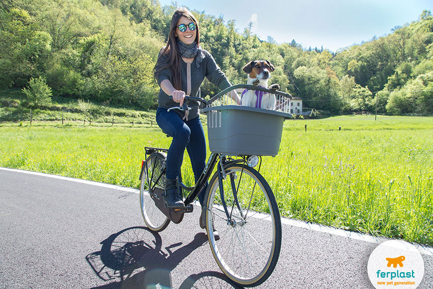 come portare il cane in bici