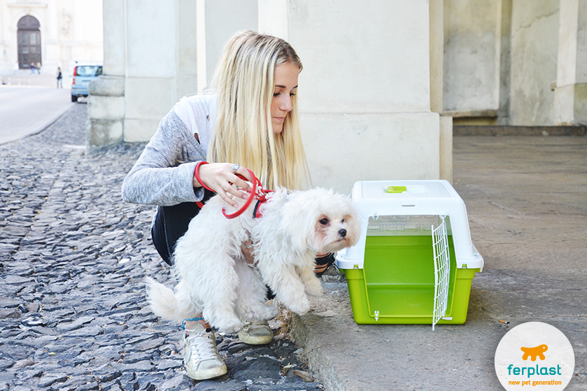 transportador para cães atlas trendy da ferplast
