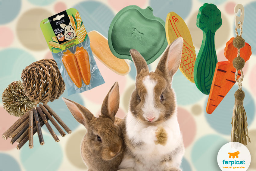 chewing dental toys for rabbits by Ferplast