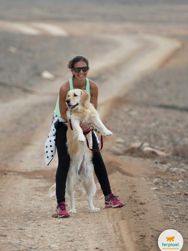 correr com o seu cão