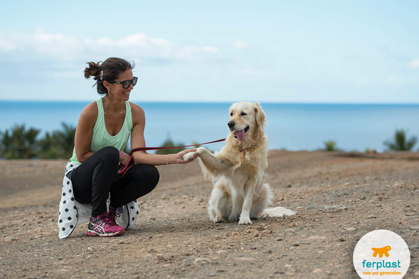 Dog fitness: come fare ginnastica con il cane in casa - Donna Moderna