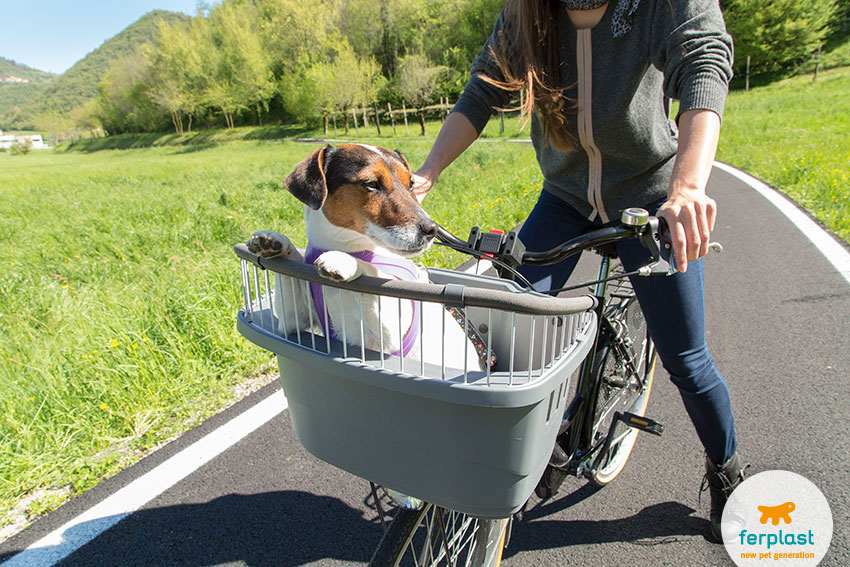 Переноска для мелких собак для крепления на велосипед