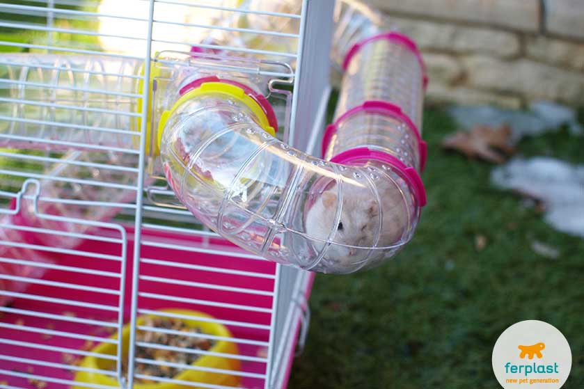tubes e habitat external para hamsters