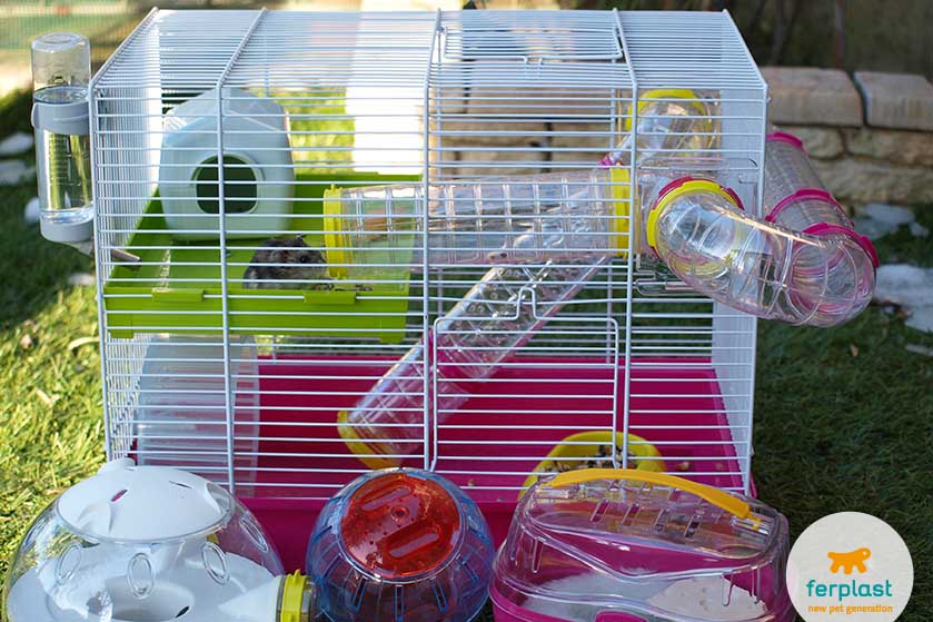 espaçosa gaiola para hamster da ferplast