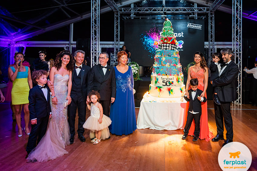 cake design for 50 years anniversary ferplast gala party