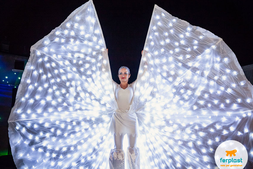 shiny butterflies performance for Ferplast's 50 years anniversary celebrations