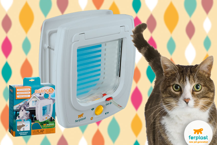 Looking to get a cat flap? Here's the one perfect for you! - LOVE FERPLAST