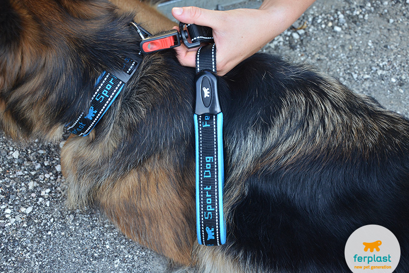 ferplast dog leads