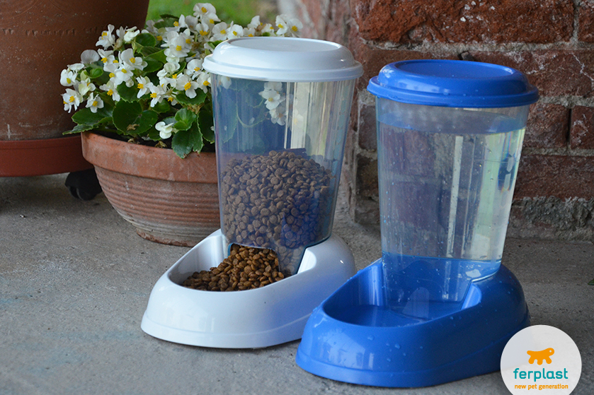 Dispensador de comida ou água para cães e gatos