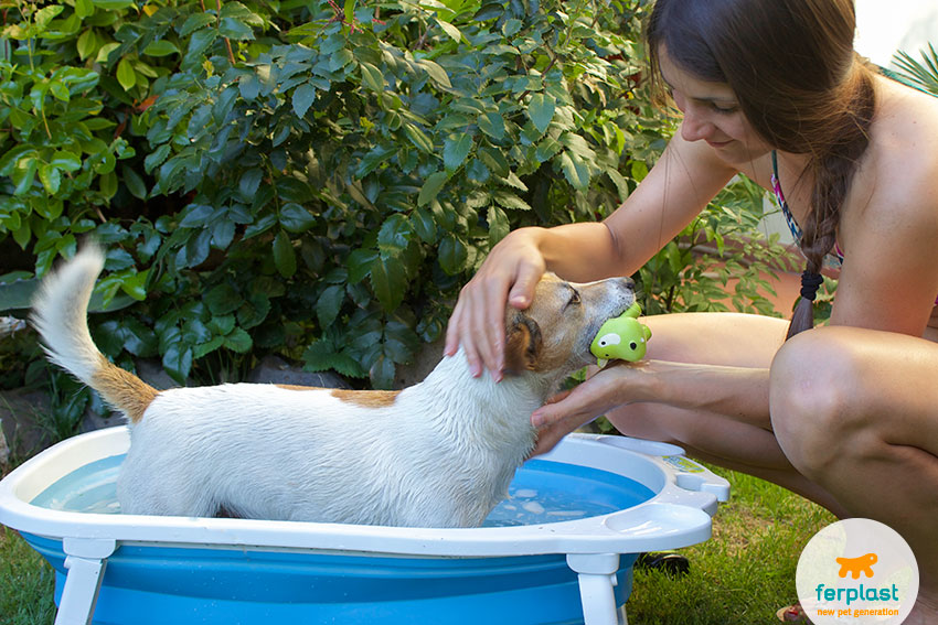 fare il bagnetto al cane? Come lavare il Cane a casa - LOVE FERPLAST