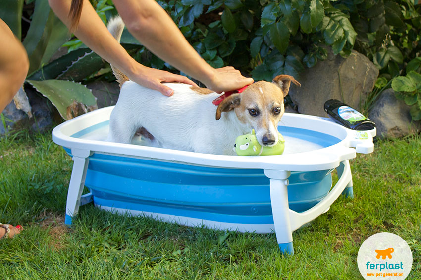 fare il bagnetto al cane? Come lavare il Cane a casa - LOVE FERPLAST