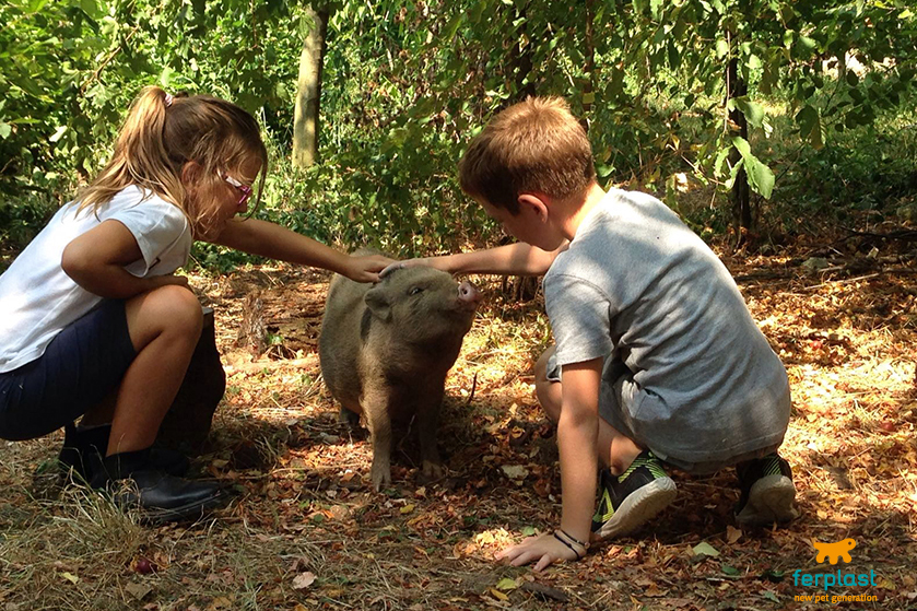 TEACHING FARM, A PARADISE FOR CHILDREN IMMERSED IN GREEN