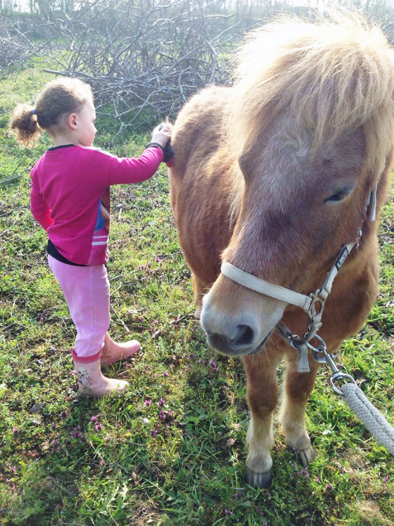 pony_biofarm_marina_fattoria