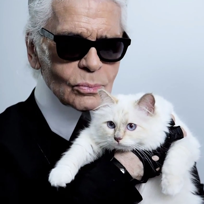 karl_lagerfeld_choupette_gatto.jpg