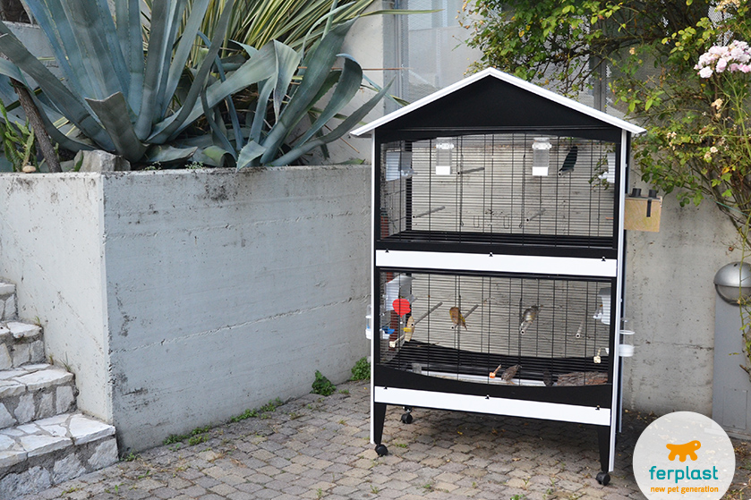 colony cage for love birds