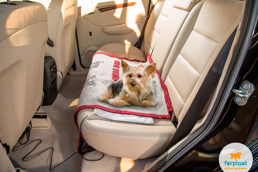 tappetino riscaldante per auto per cani