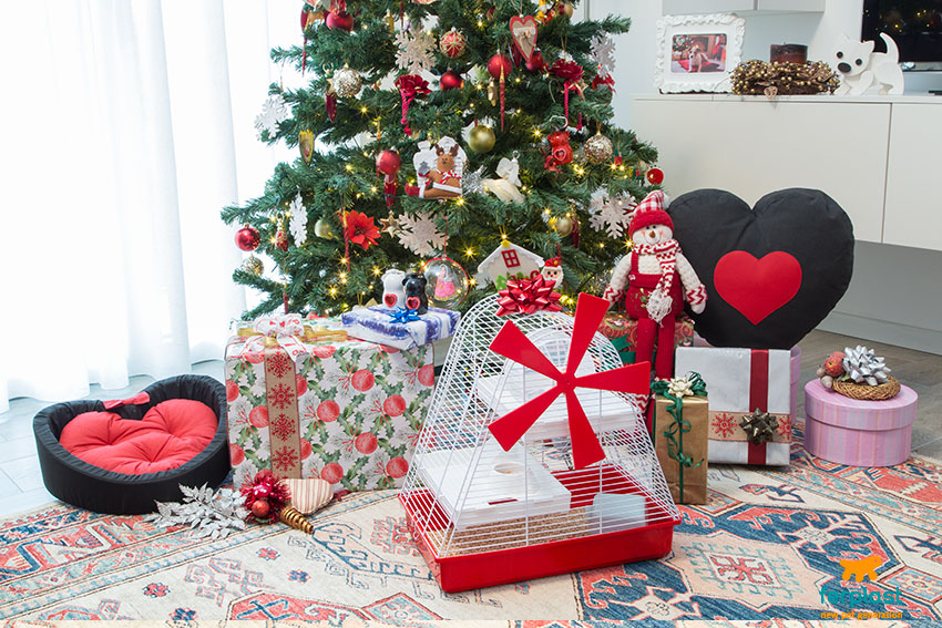 Christmas hamster clearance cage