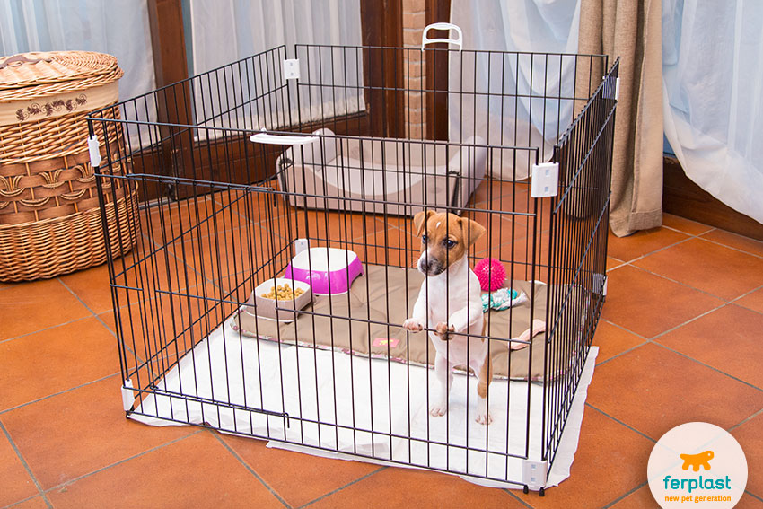 Ferplast Recinto cuccioli Box per cani DOG TRAIN…