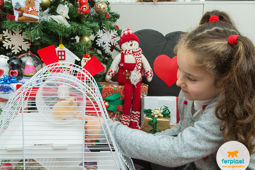 christmas hamster cage