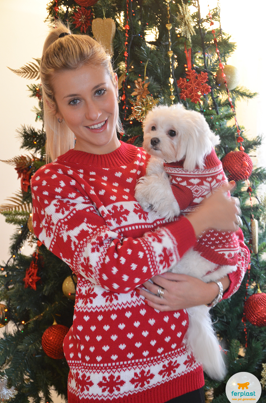 regalo per cani Abrlo per feste di Natale in cotone Maglione invernale natalizio per cani