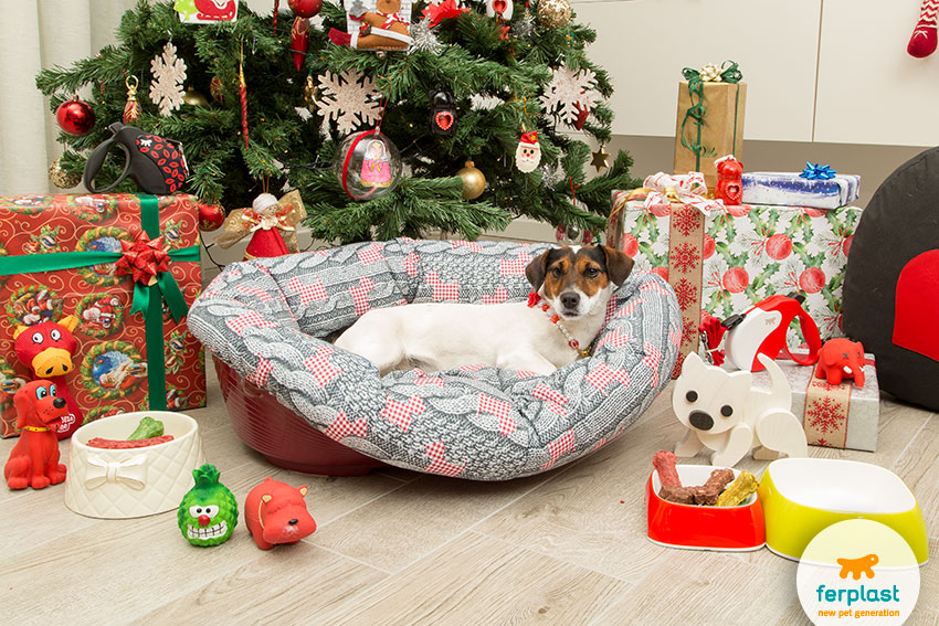originais e coloridos presentes de Natal para cães