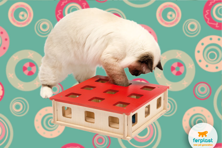 Mental stimulation toys for cats - LOVE FERPLAST