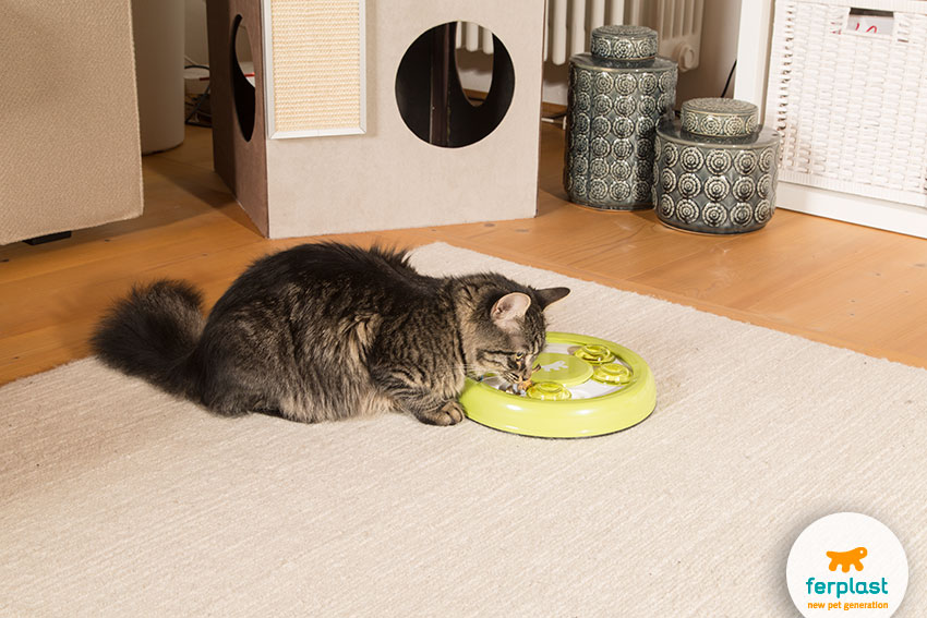 Mental stimulation toys for cats - LOVE FERPLAST