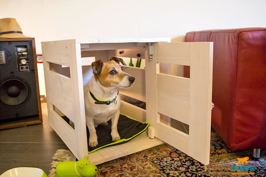 Scegliere il miglior kennel per cani materiali e misura LOVE FERPLAST Scegliere il miglior kennel per cani materiali e misura LOVE FERPLAST
