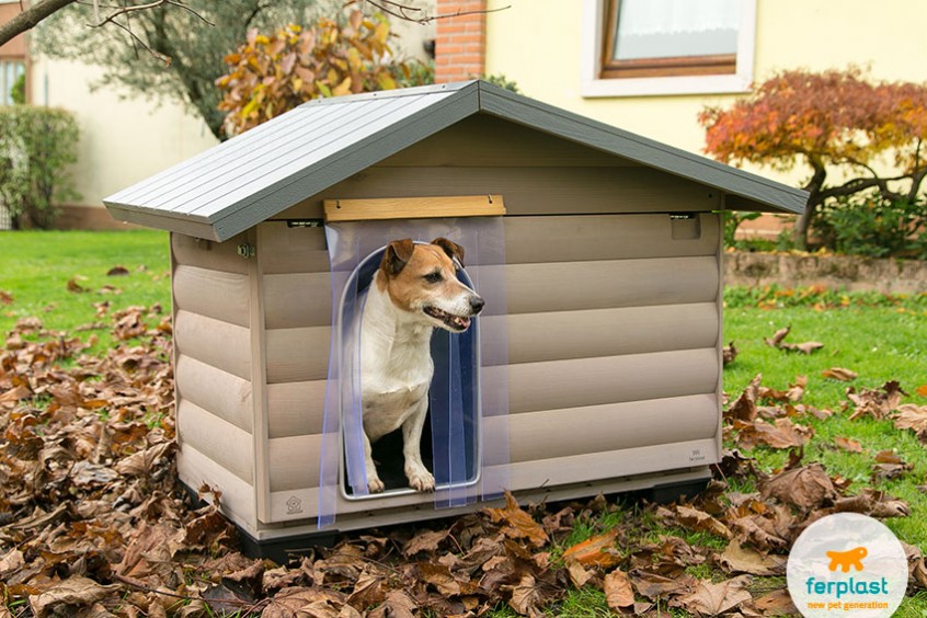Finding the right size of dog house LOVE FERPLAST