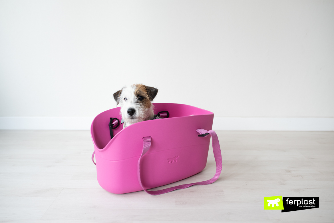 Jack Russel nella borsa with me fucsia di Ferplast